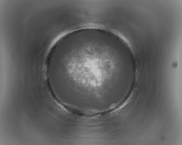 X0000094791310200711161424