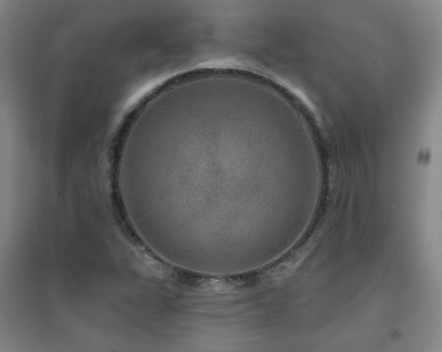 X0000094791311200711161424