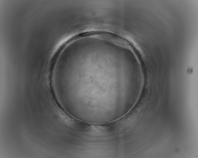X0000094791312200711161424