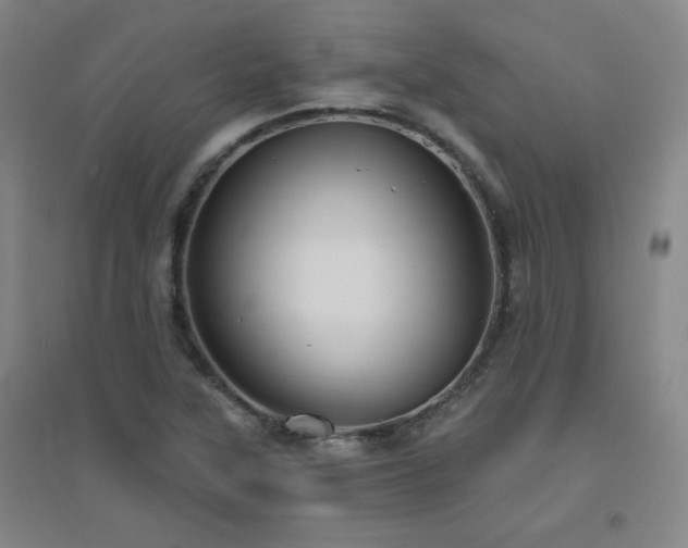 X0000094791315200711161424