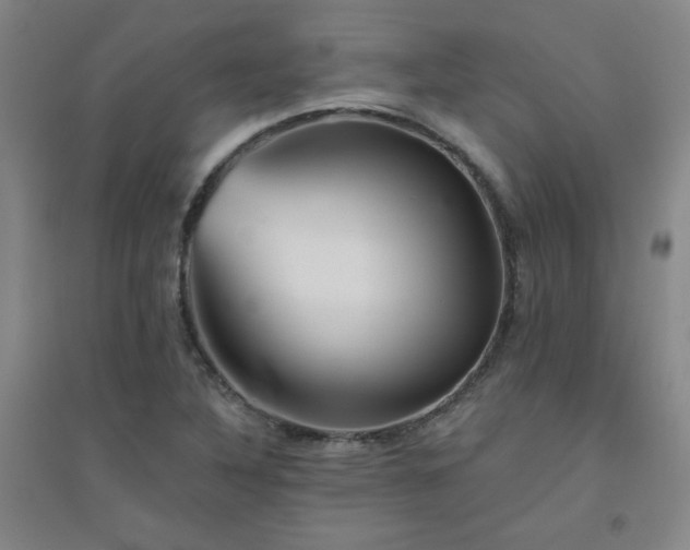 X0000094791316200711161424