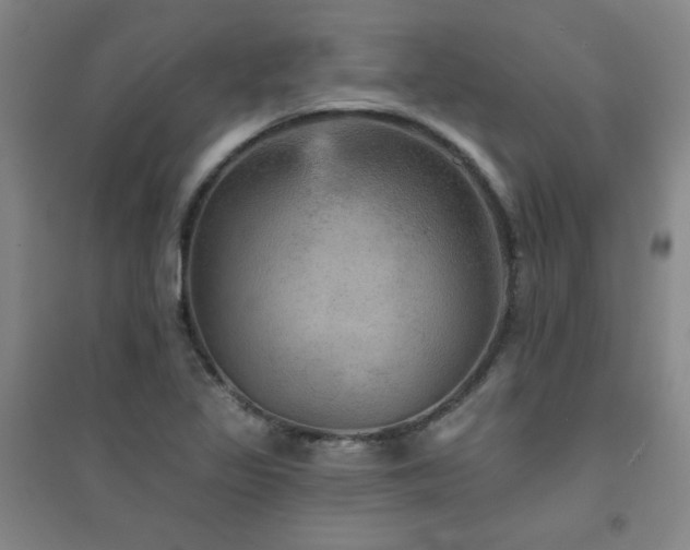 X0000094791317200711161424