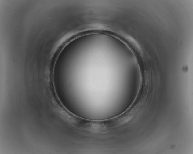 X0000094791318200711161424