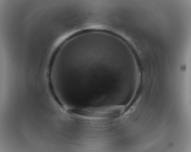 X0000094791319200711161424