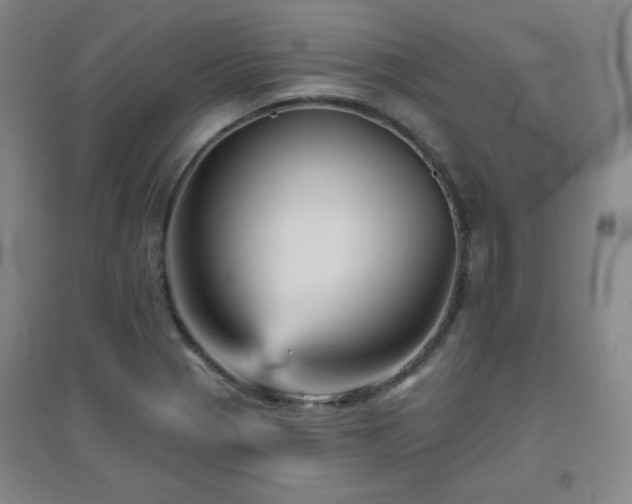 X0000094791321200711161424
