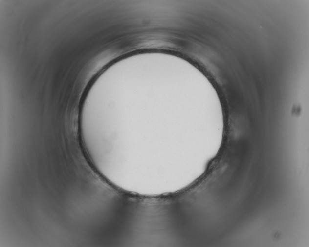 X0000094791322200711161424