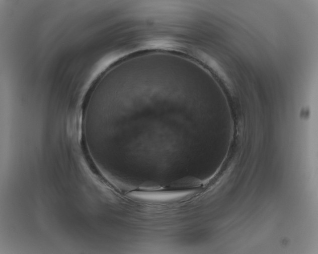 X0000094791323200711161424