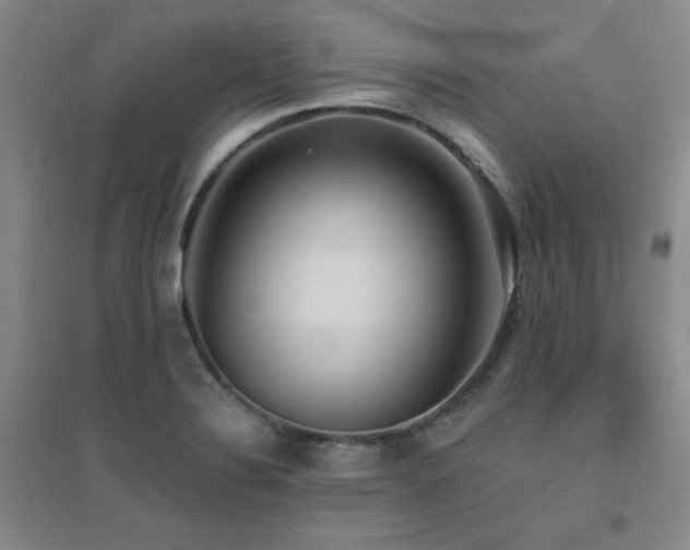X0000094791324200711161424