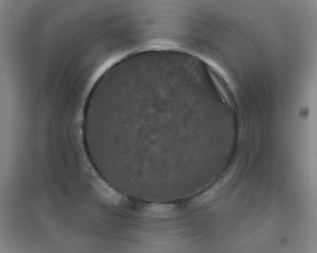 X0000094791325200711161424