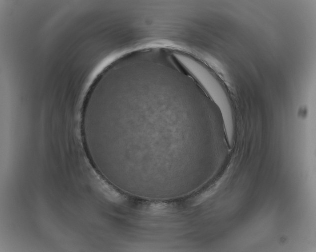 X0000094791326200711161424