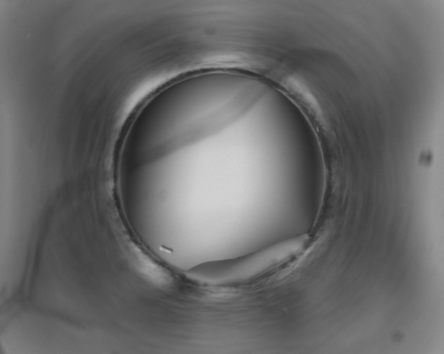 X0000094791328200711161424