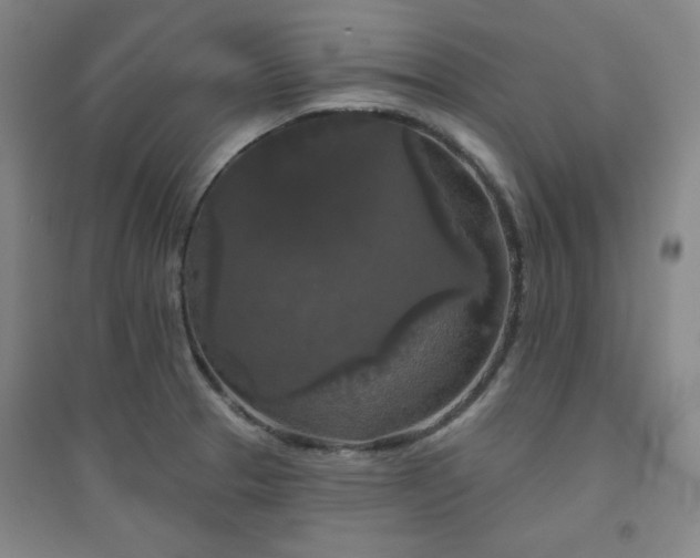 X0000094791329200711161424