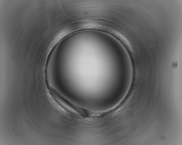 X0000094791330200711161424