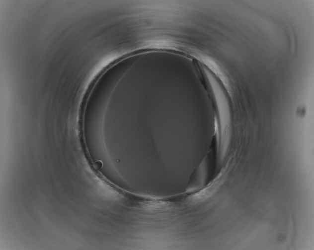 X0000094791331200711161424