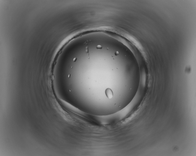 X0000094791332200711161424