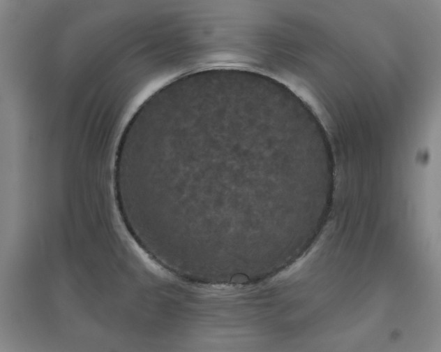 X0000094791333200711161424