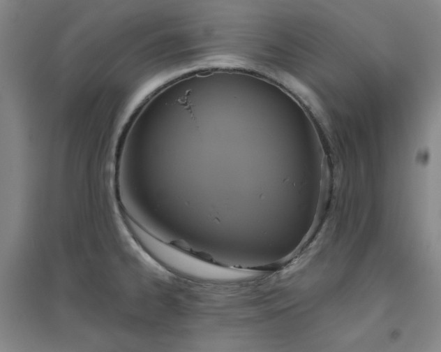 X0000094791334200711161424