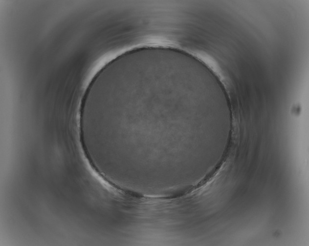 X0000094791335200711161424