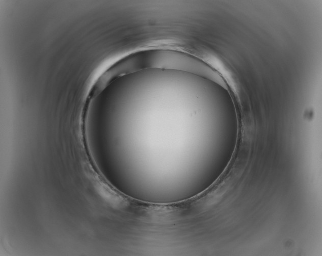 X0000094791336200711161424