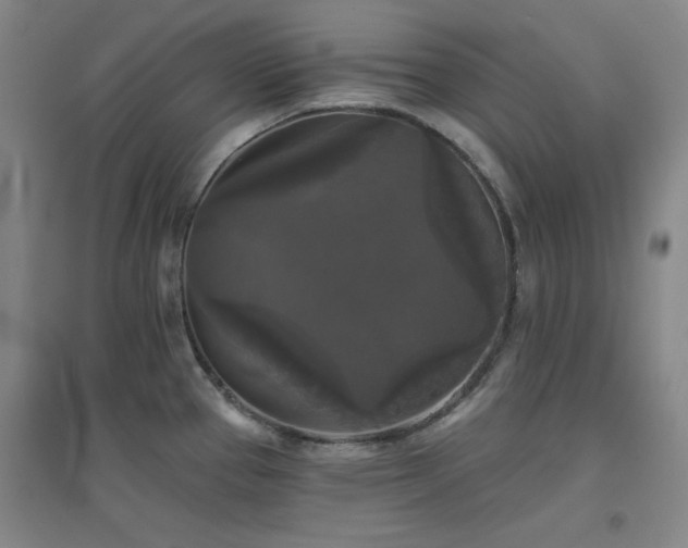 X0000094791337200711161424