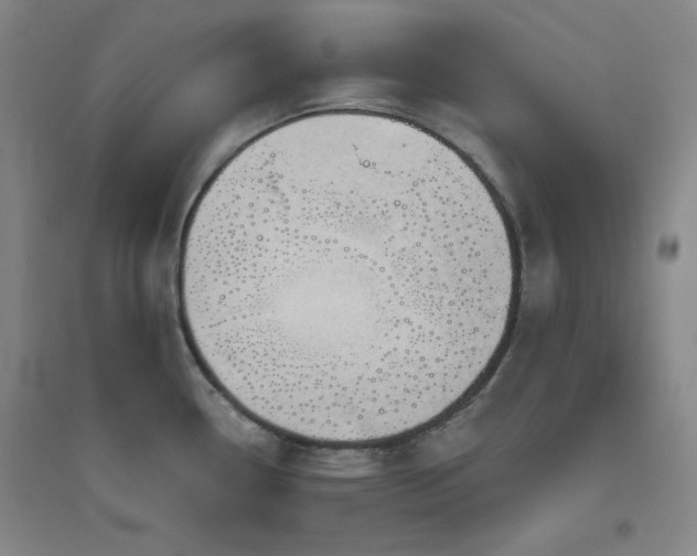 X0000094791338200711161424