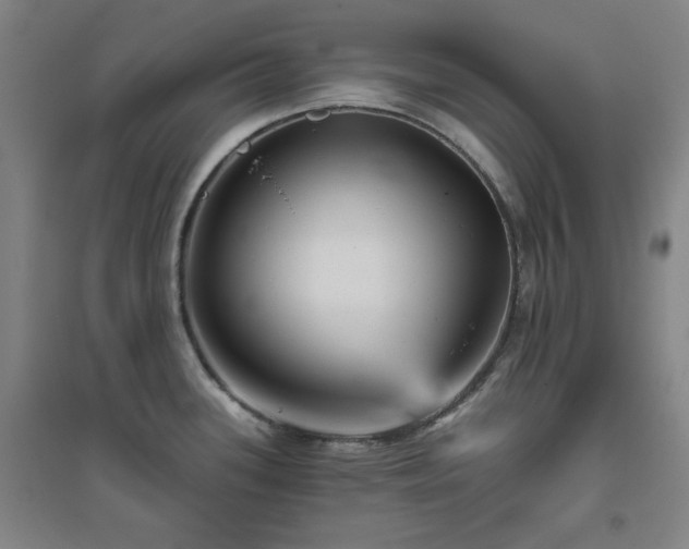 X0000094791339200711161424