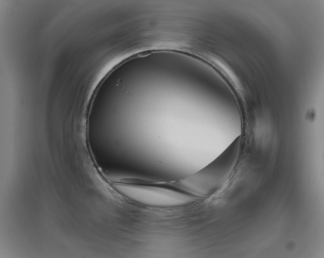 X0000094791340200711161424