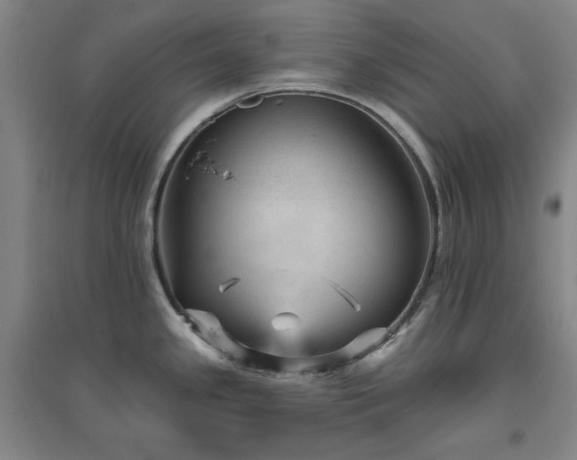 X0000094791341200711161424