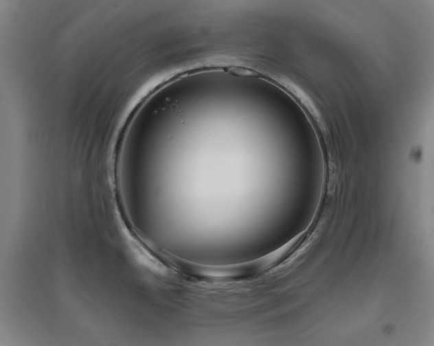 X0000094791342200711161424