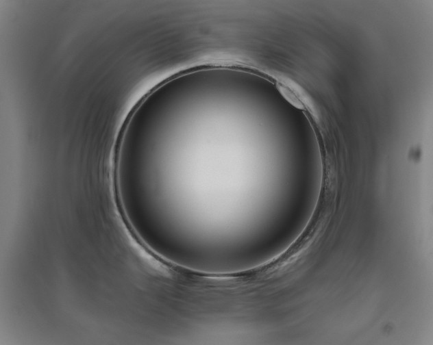 X0000094791343200711161424