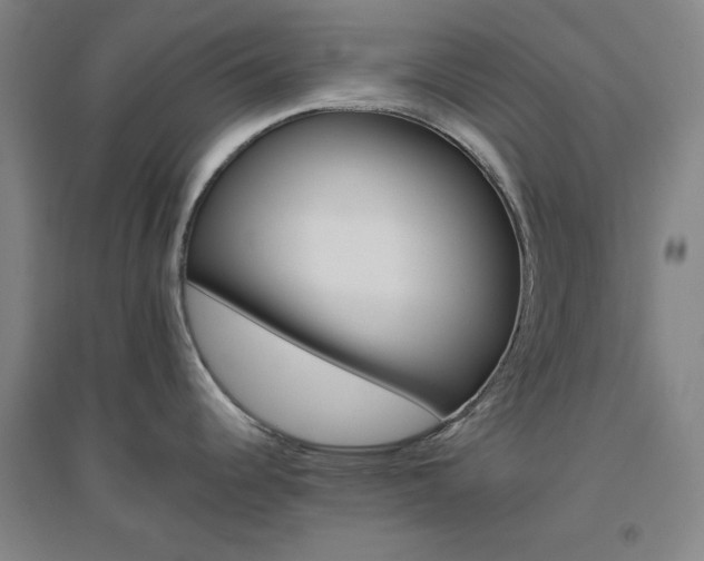 X0000094791344200711161424