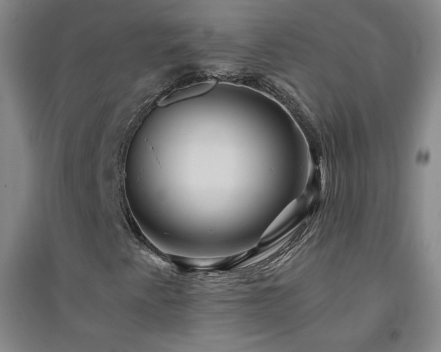 X0000094791345200711161424