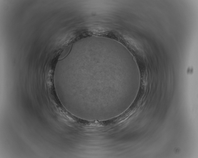X0000094791346200711161424