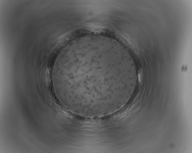 X0000094791347200711161424