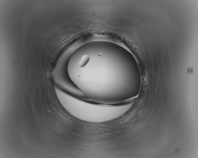 X0000094791348200711161424