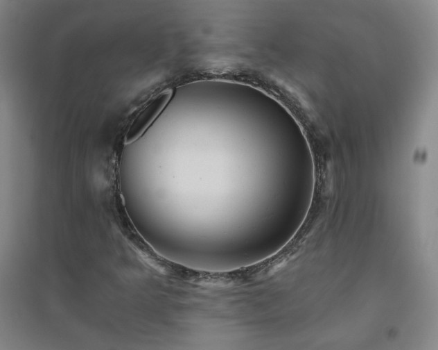 X0000094791349200711161424