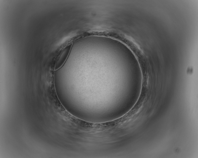 X0000094791350200711161424