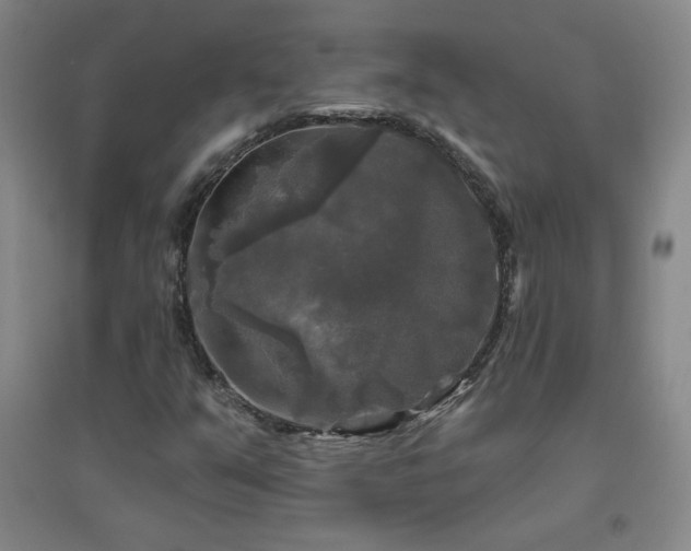 X0000094791351200711161424