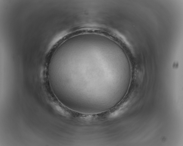 X0000094791352200711161424