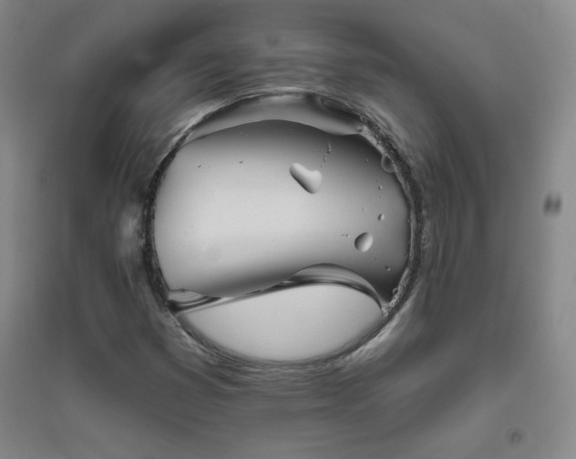 X0000094791353200711161424