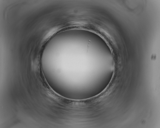 X0000094791354200711161424