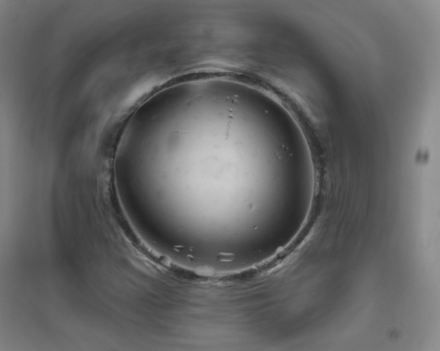 X0000094791355200711161424