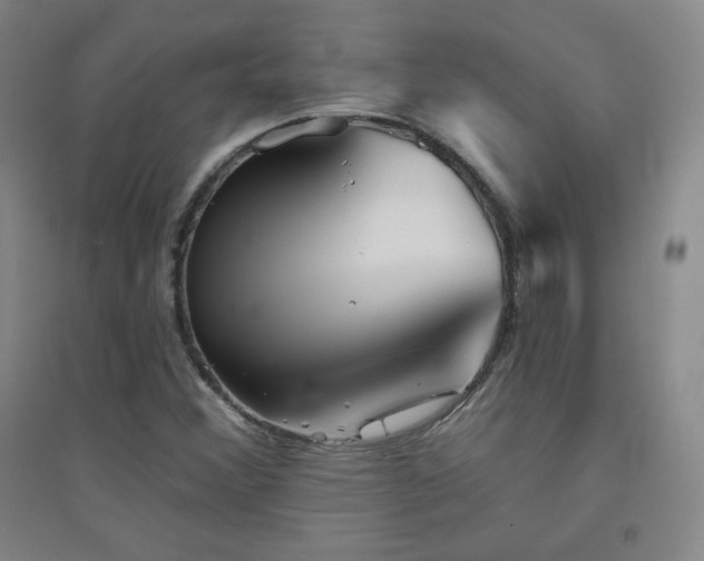 X0000094791356200711161424