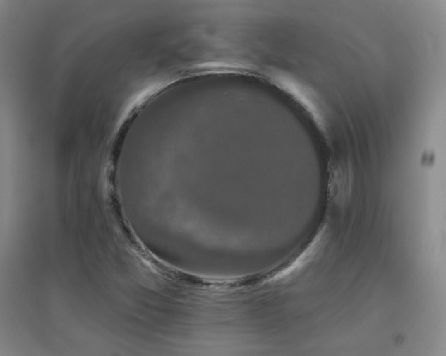 X0000094791357200711161424