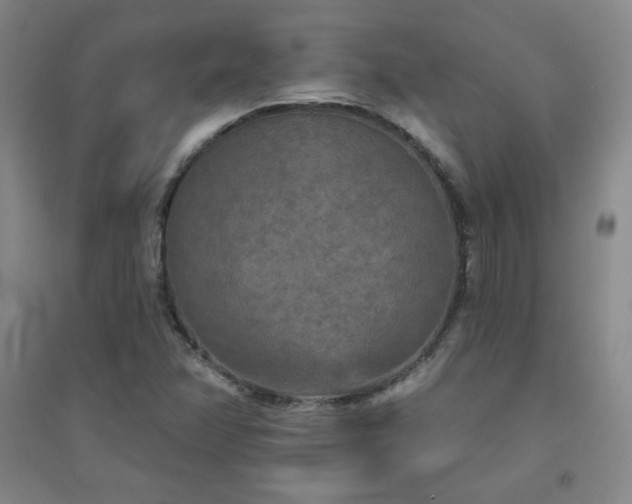 X0000094791358200711161424