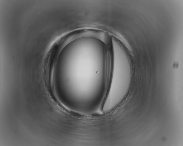 X0000094791360200711161424