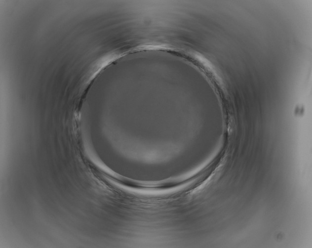 X0000094791361200711161424