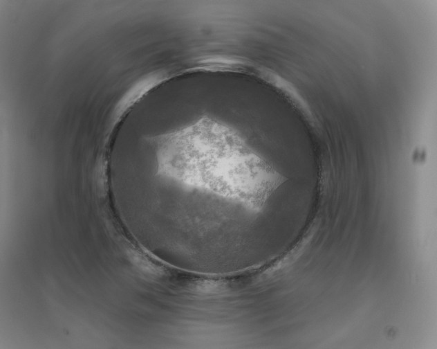 X0000094791362200711161424