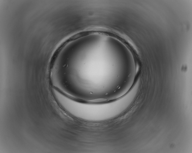 X0000094791364200711161424