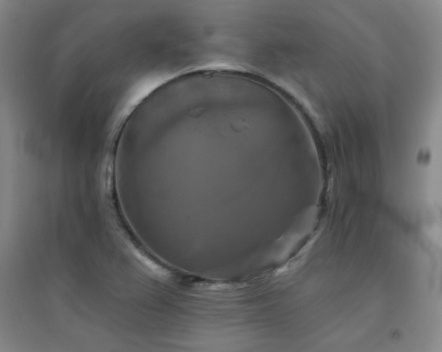 X0000094791367200711161423